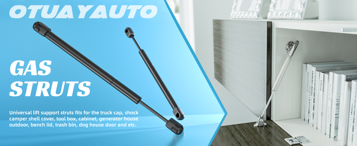 Gas Struts