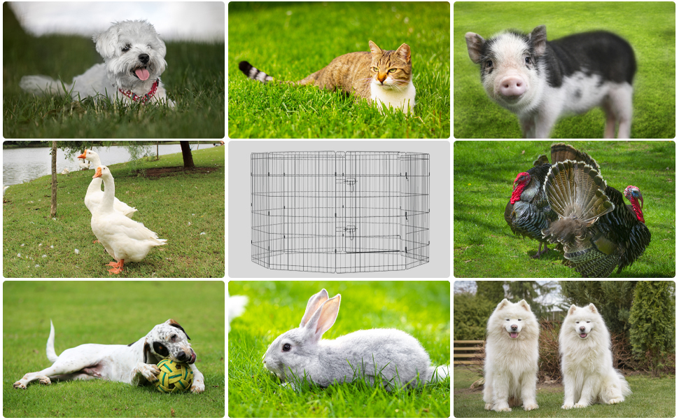 pet playpen indoor outdoor