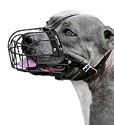 dog muzzle