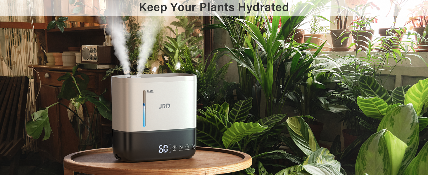 Humidifiers for Bedroom