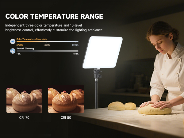 led video light