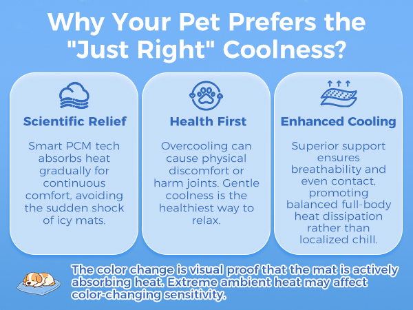 dog cooling mat