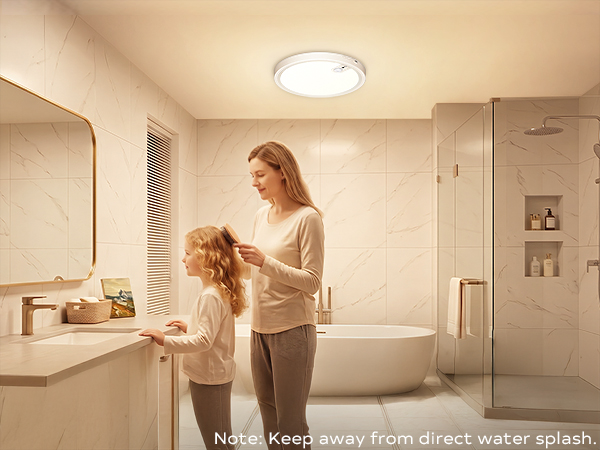 battery operated ceiling light