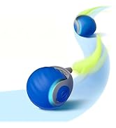 Petgravity Speedy Sprint Cat Toy Ball, 2026 Upgraded Interactive Cat Toys for Indoor Cats Exercis...