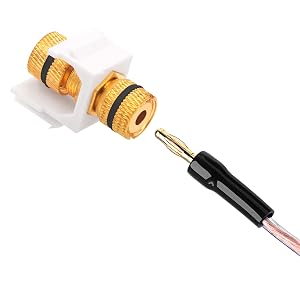 SPEAKER BANANA PLUGS