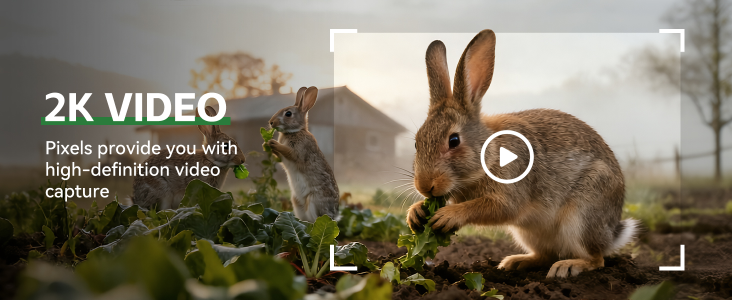 trail cameras with night vision motion activated waterproof