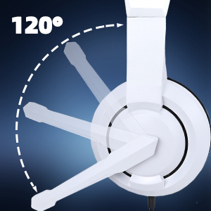 computer headphones