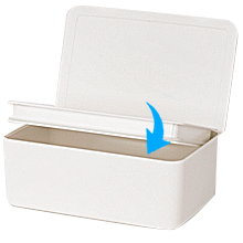 Wipes Case