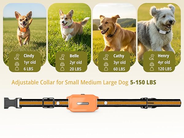 multi dog shock collar 3 pack
