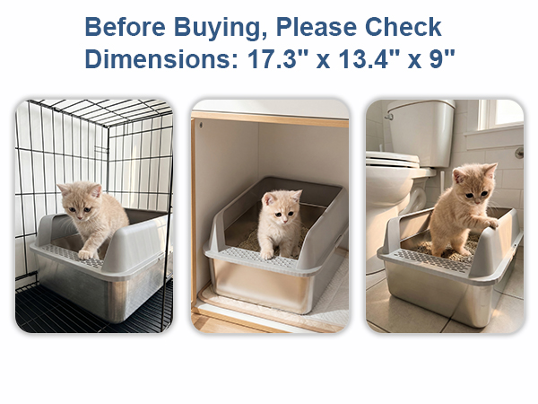kitty litter box