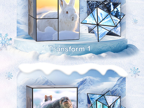Travel Yoshimoto Cube