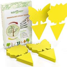 houseplant sticky traps