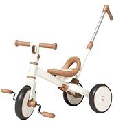 BG-BABYGO 4 in 1 Toddler Tricycle for 1-3 Years Old Kids Balance Bike with Handlebar Push Trike B...