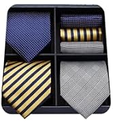 HISDERN Mens Ties and Pocket Square Set Business Elegant Ties for Men Classic Lot 3 Pcs Wedding P...