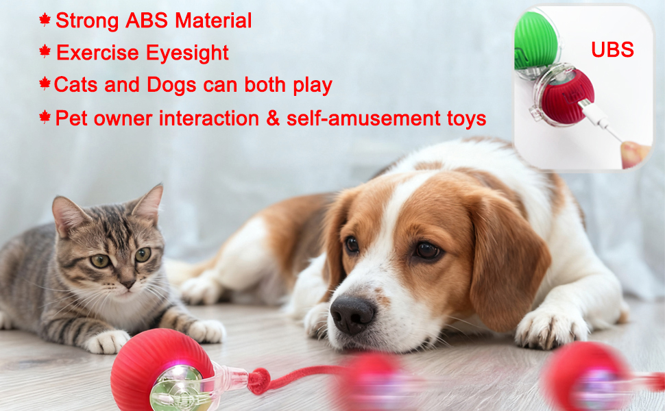 Safety's cat toys