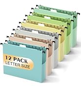 Extra Capacity Plastic Hanging File Folders,12 Pack Reinforced Hang Folder,Heavy Duty 2 Inch Expa...