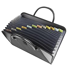 Expanding File with Carrying Handles