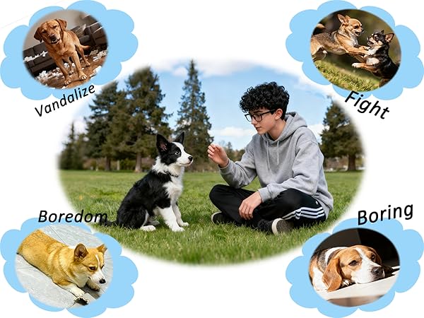 20 pack dog toys for small dogs