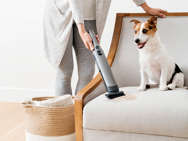 vacuuming up couch with puppy