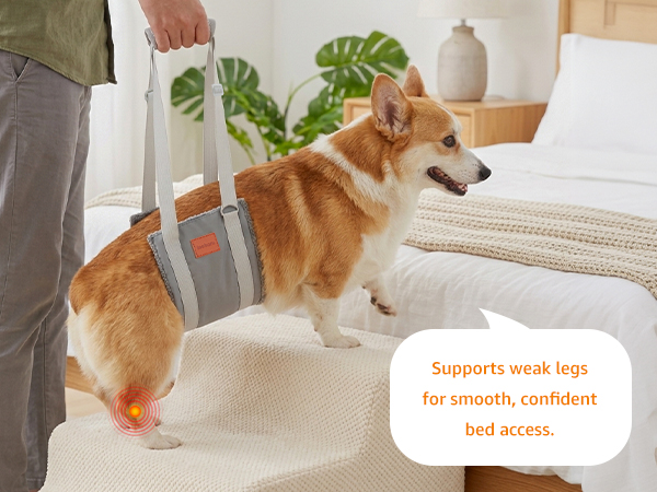 dog harness for large dogs