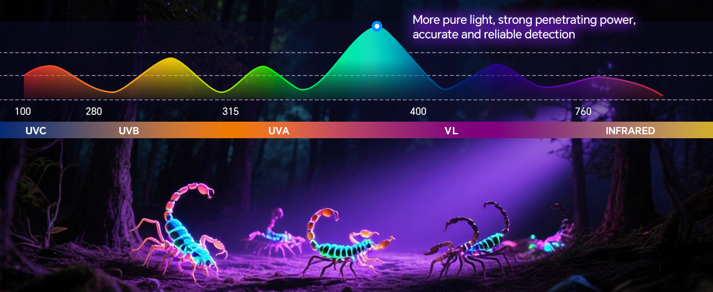 365nm UV Flashlight