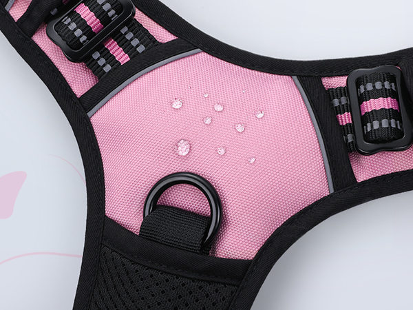 dog harness