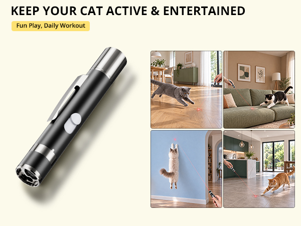 cat toys