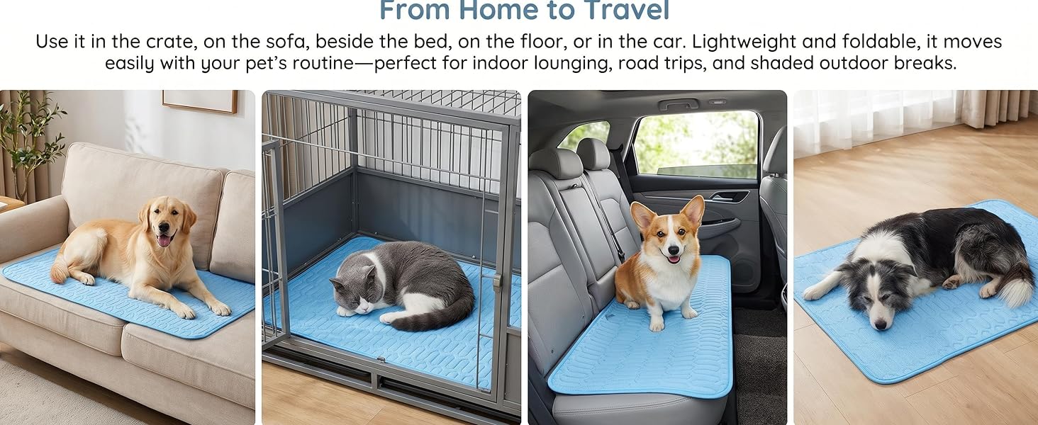 From Home to Travel
