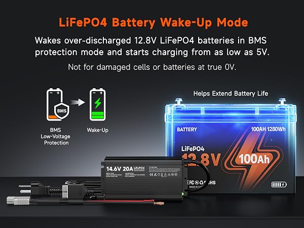YZPOWER 12V 20A Lithium Battery Charger