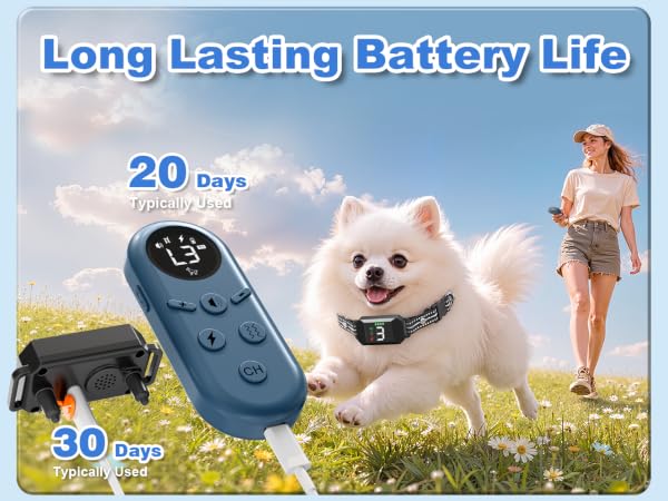 Small Shock Collar for Dogs