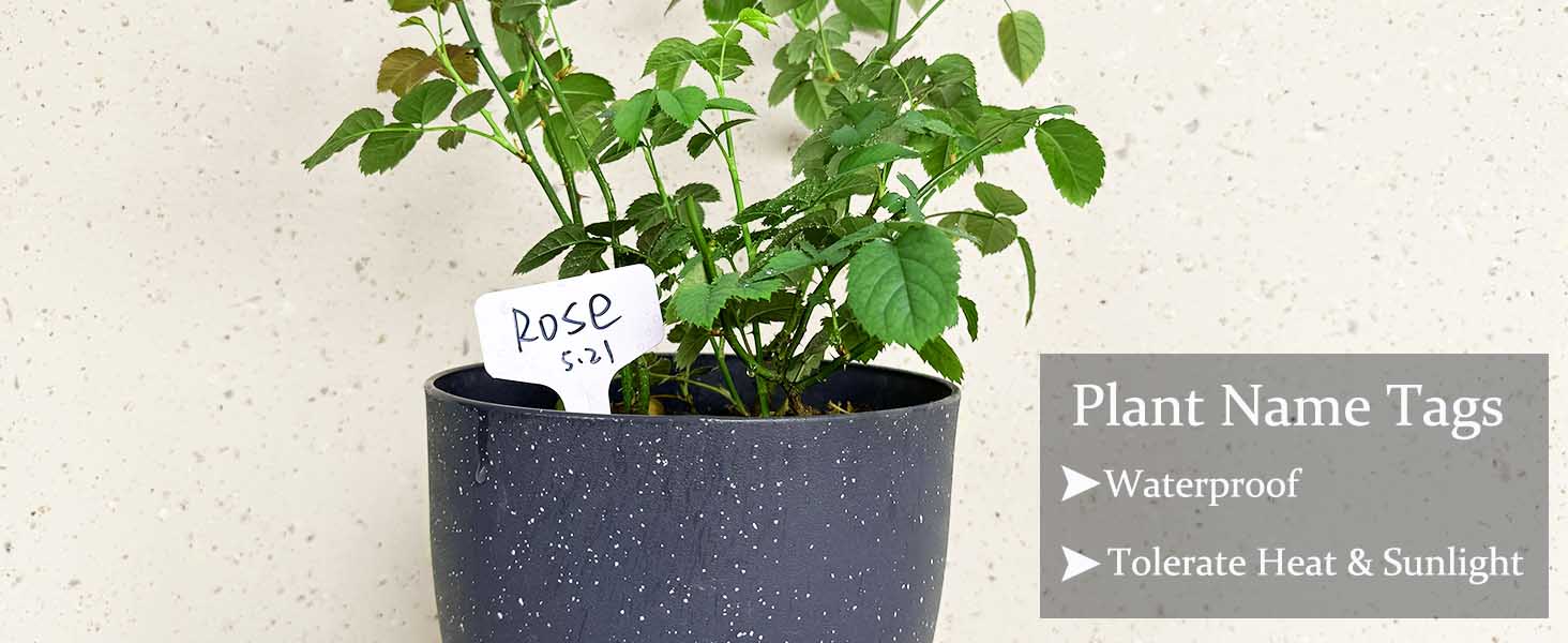 Plant labels seedlings decorative gifts gardener