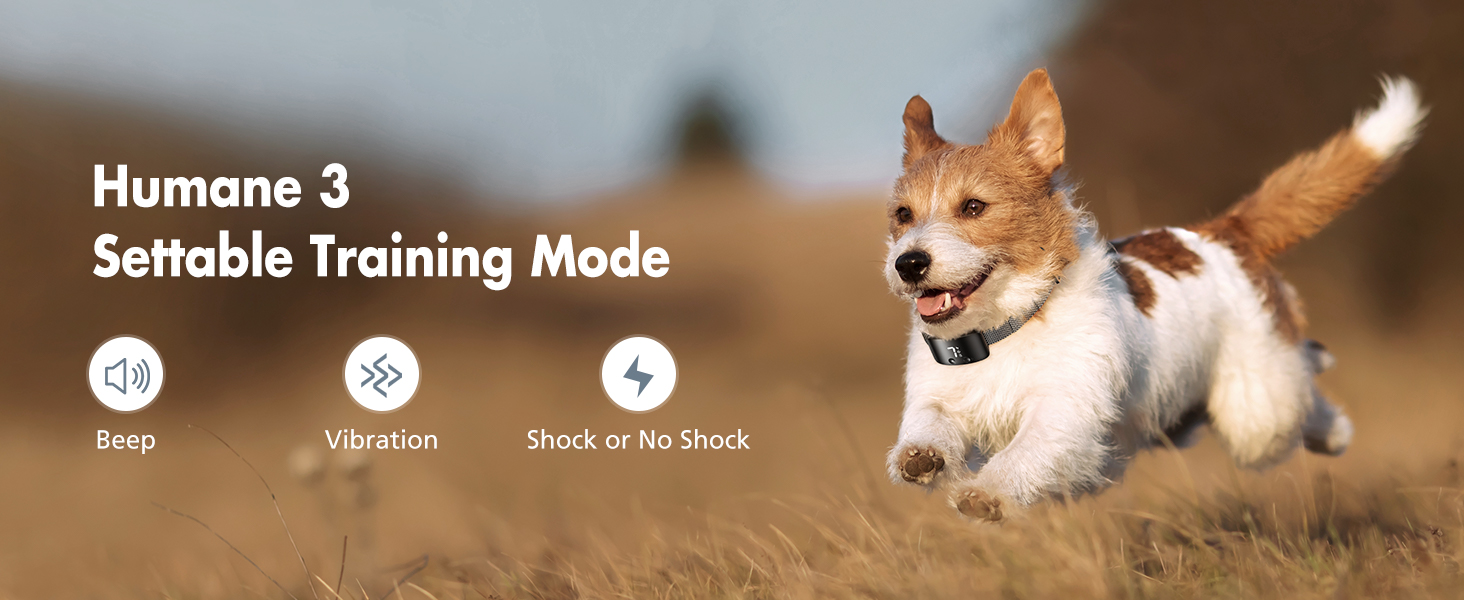barking collar