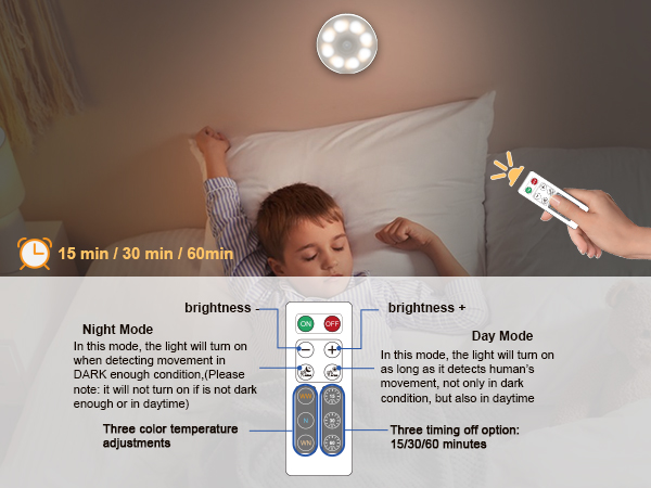 Remote for Dimming and Timing