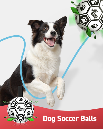 dog soccer ball toy