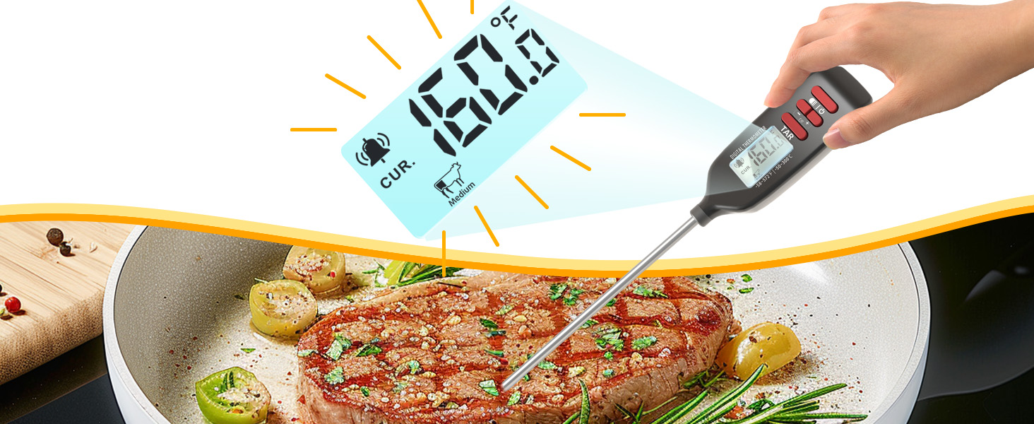 meat thermometer for grilling steak