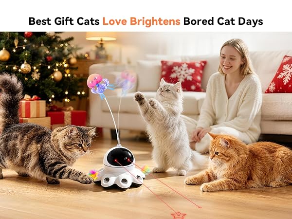 cat toys