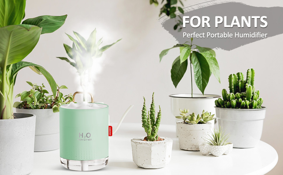 Humidifier