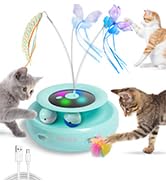 rechargeable cat toy