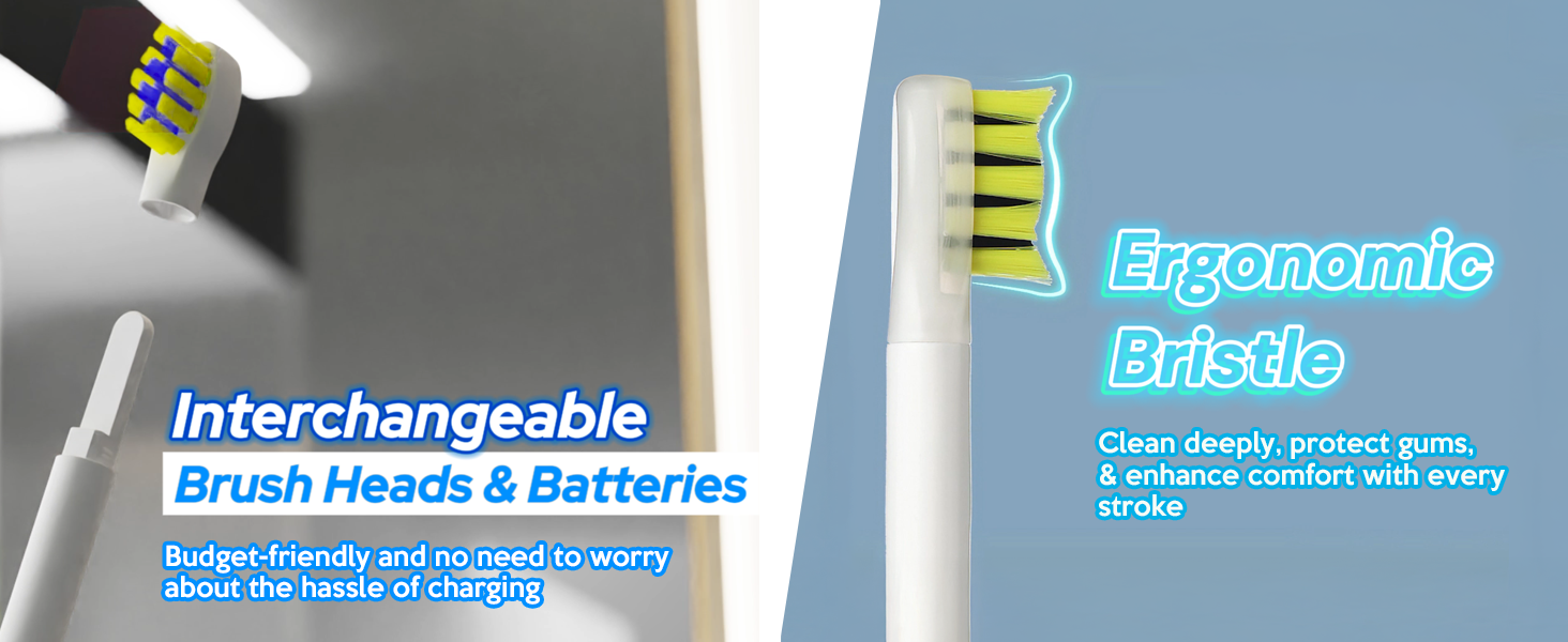 interchangable brush heads and batteries