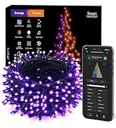 ODEETRONIC Purple Valentine's Day Lights, 98Ft 300LED Smart Color Changing String Lights APP/Voic...