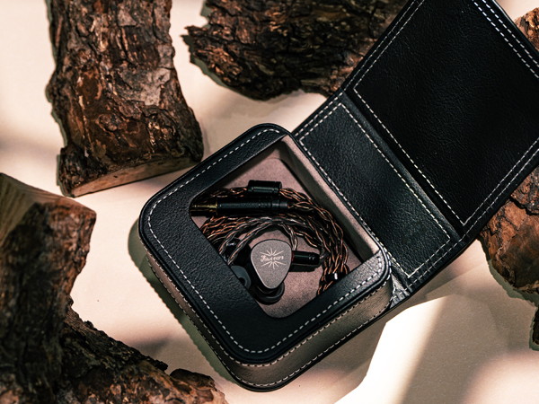 earbuds case