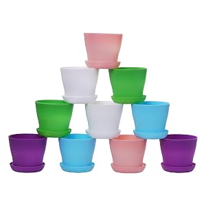 flower pots