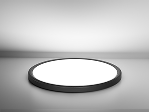 LED Ceiling Light