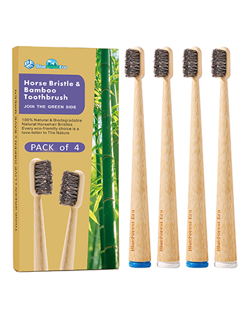 horse toothbrush