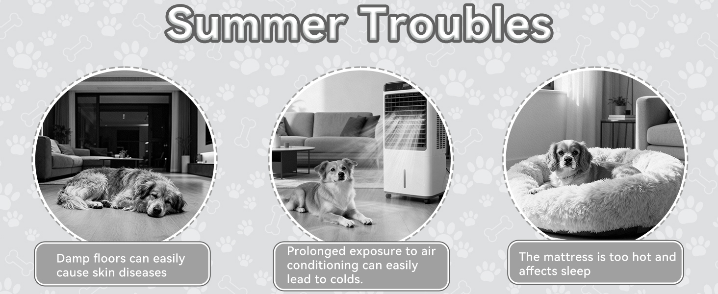 cooling bed for dogs