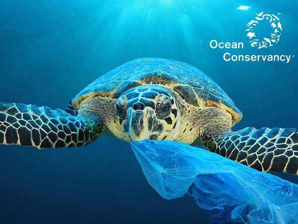 Donation:1% of this work will be donated to environmental organizations.