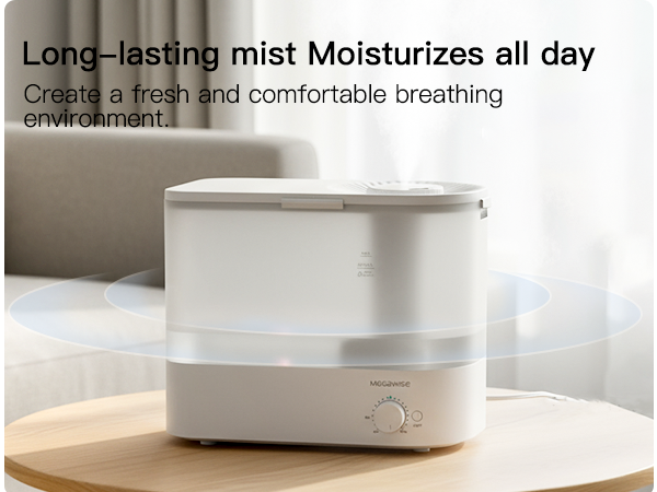 Humidifier