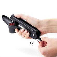 Cherry Pitter
