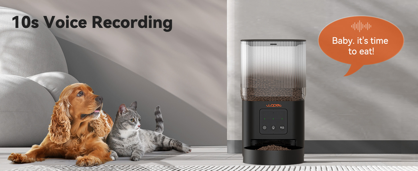 Pet feeder with built-in voice recorder for feeding time voice reminder