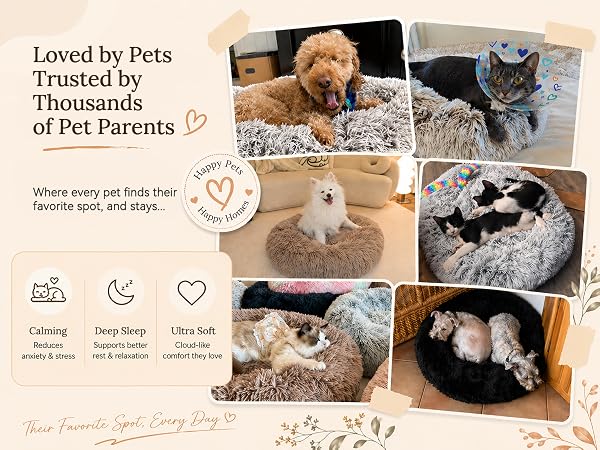 plush dog bed MP A+ 2